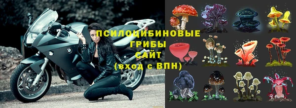 скорость Зеленокумск