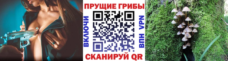 Галлюциногенные грибы ЛСД  Купить где  Ивантеевка 